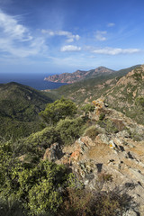 Fototapeta na wymiar Paysage Côte Corse