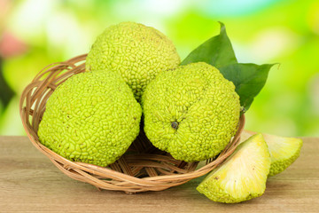 Osage Orange fruits (Maclura pomifera) in basket,