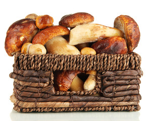 Fresh mushrooms in basket isolated on white