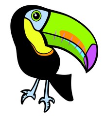 Tropical toucan