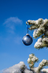 Christmas Bauble on a Pine Tree With Copy Space