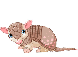 Armadillo cartoon