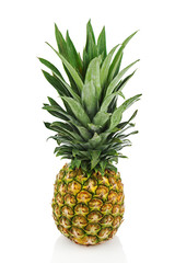 Fototapeta premium Ripe whole pineapple isolated on white background.