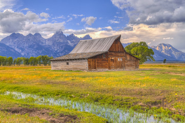 Fototapeta na wymiar Mormon Row Grand Teton