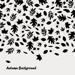 Autumn background vector