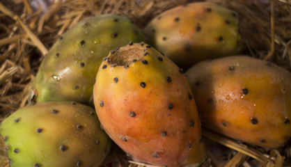 Fichi d'India sulla paglia