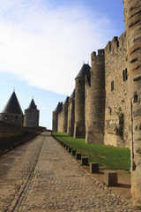 Fototapeta na wymiar Wszy - średniowieczne miasto Carcassonne