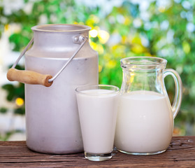Milk in various dishes.