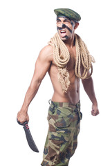 Soldier isolated on the white background
