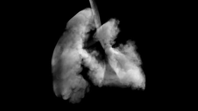 Rotating smoke, lungs shape