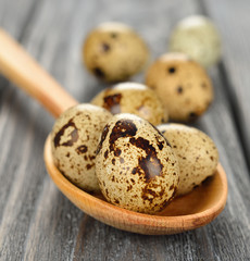 quail eggs