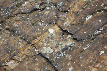steinmauer