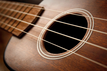 Obraz premium Ukulele