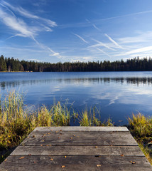 The autumn landscape