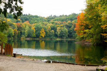 Jesień na drzewach nad jeziorem