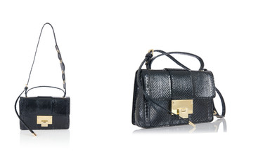 Woman bag isolated on the white background