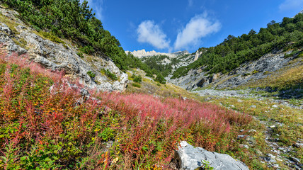 Mountain valley landscape