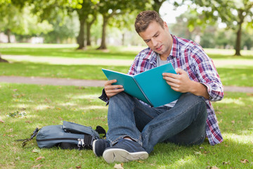 Naklejka na ściany i meble Handsome concentrating student sitting on grass studying