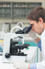 Scientific researcher using microscope in the laboratory