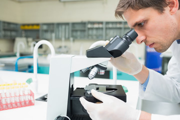 Naklejka na ściany i meble Scientific researcher using microscope in the laboratory