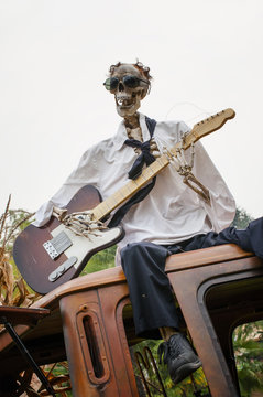 Funny skull playing guitar