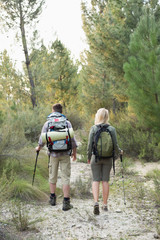 Rear view of a fit young couple exploring the woods