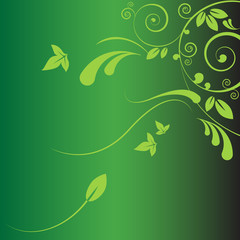 Green Floral Background - Vector illustration