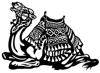 lying camel with saddle black white