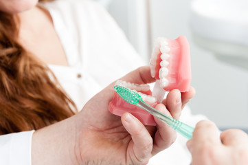 Dentist surgery. How to brush teeth