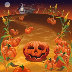 Deurstickers Pumpkins in the field. © ddraw