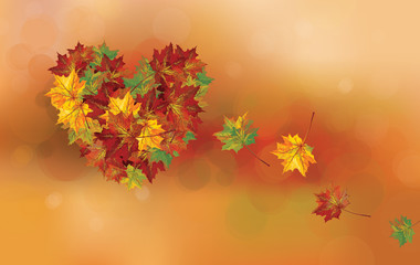Vector heart shape made of leaves on autumn  background.
