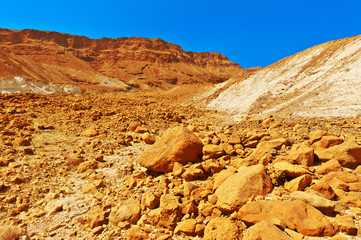 Stony Desert