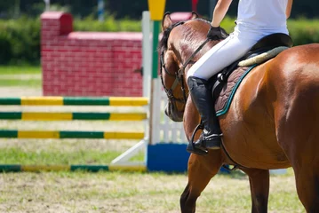 Reitsport