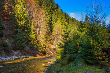 Fototapeta na wymiar river flows by rocky shore near the autumn mountain forest