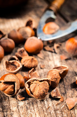 Hazelnuts
