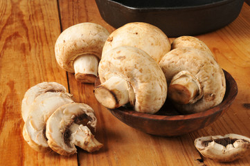 Fresh mushrooms