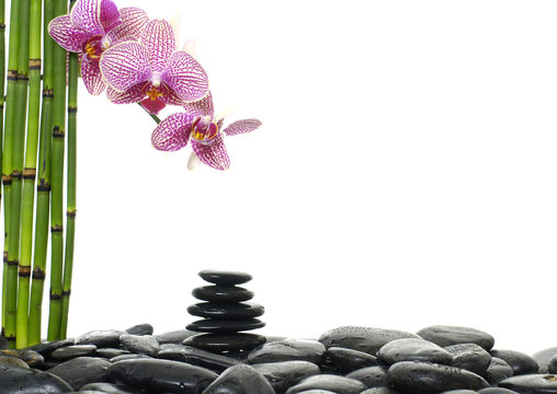 black stones in balance with branch pink orchid