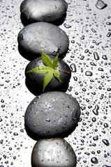 Row of zen stones with leaf and water drop