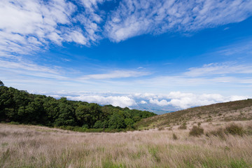 Fototapeta premium Hill plain landscape on Giu Mae Pan,Chiang Mai Thailand