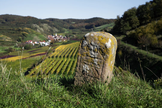 Grenzstein bei Oberbergen im Kaiserstuhl