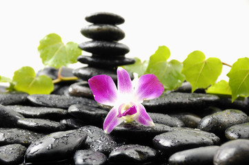 Fototapeta na wymiar stones in balance and pink orchid and green ivy leaves on wet pebble