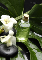 White orchid and massage oil on green leaf 