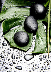 Obraz na płótnie Canvas spa stones on big green leaf of Monstera plant with water drops 