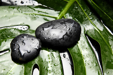 Obraz na płótnie Canvas Zen stones on green monstera leaf