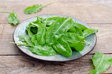 Fresh spinach in a bowl