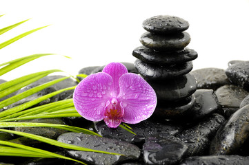 Fototapeta na wymiar stones in balance and pink orchid and green leaves on wet pebble