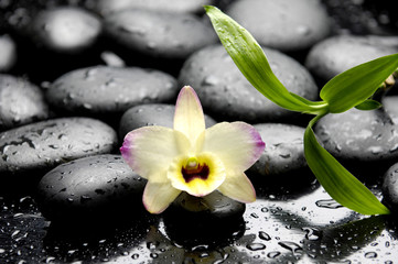 Spa still life with hot stones and orchid with bamboo leaves