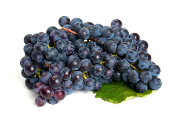 Fototapeta premium blue grapes isolated on white