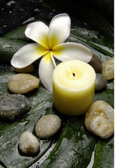 Fototapeta na wymiar frangipani flower and candles on the green monstera leaf