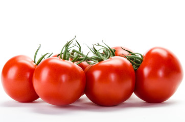 Strauchtomaten isoliert